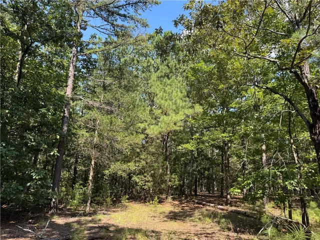 $500,000 | 1324 Highway 81, Calhoun Falls, SC 29628