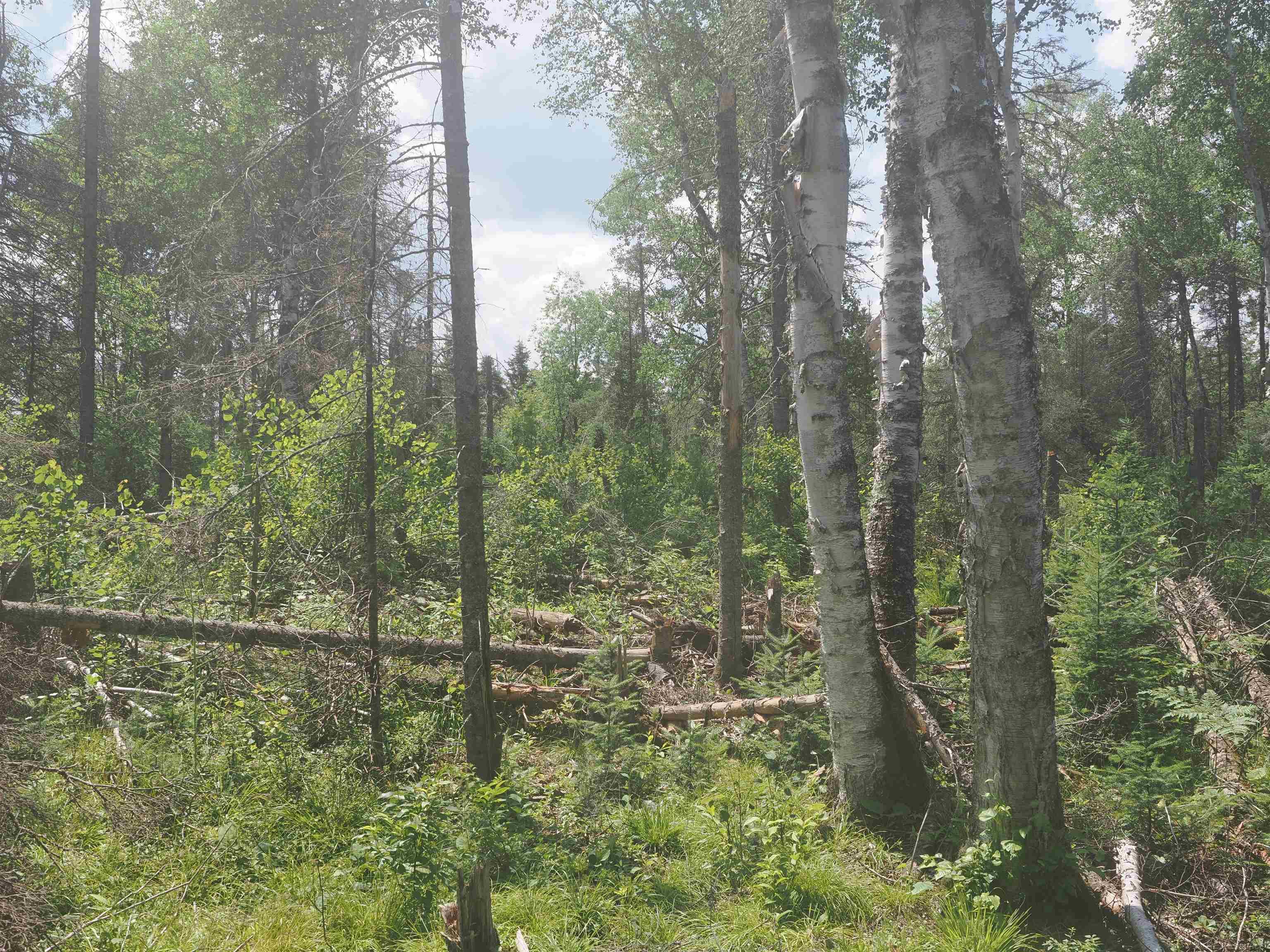 0 County Road Ishpeming, MI 49849 - Photo 62 of 85