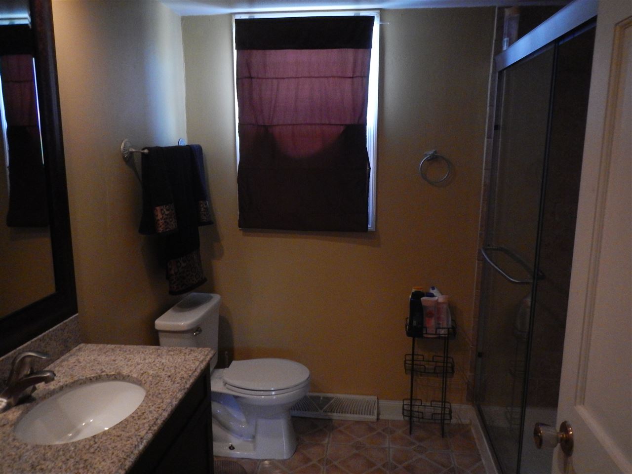 2675 South Weldon Road Winnebago, IL 61088 - Photo 11 of 19 a bathroom with a granite countertop toilet a sink and mirror