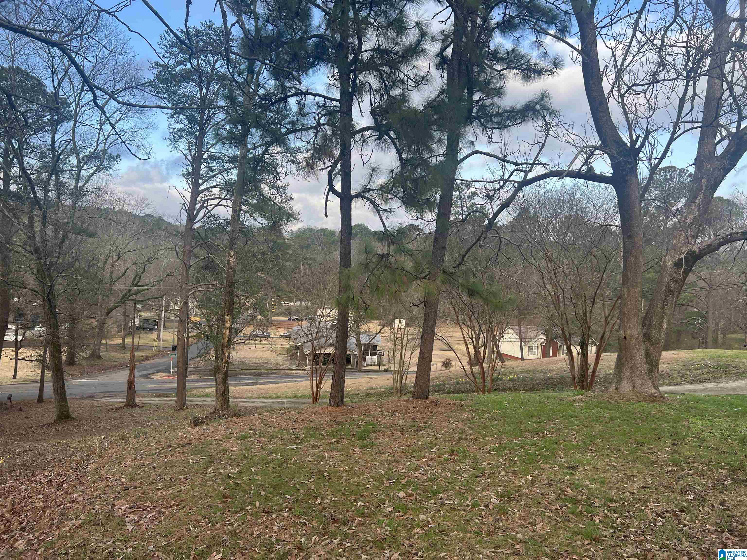 2301 Forestdale Bend Road Birmingham, AL 35214 - Photo 8 of 8