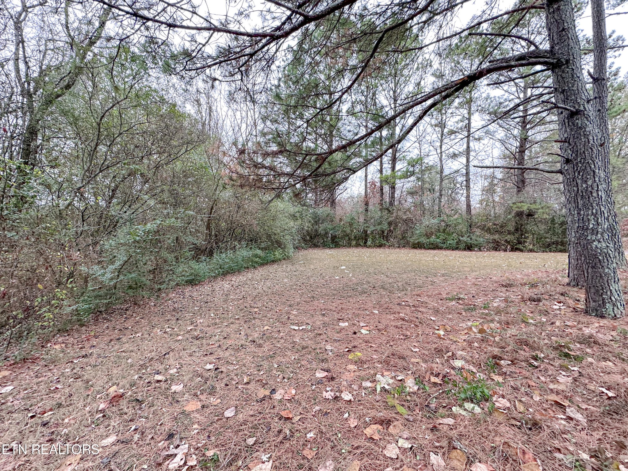 4140 Webb Road Chattanooga, TN 37416 - Photo 3 of 30 Gallery Image 3