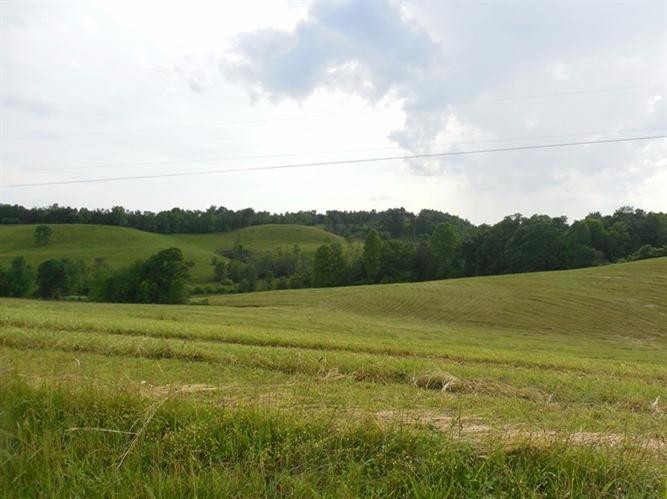 563 Keeton Lake Road Wellington, KY 40387 - Photo 4 of 76 Photo 4