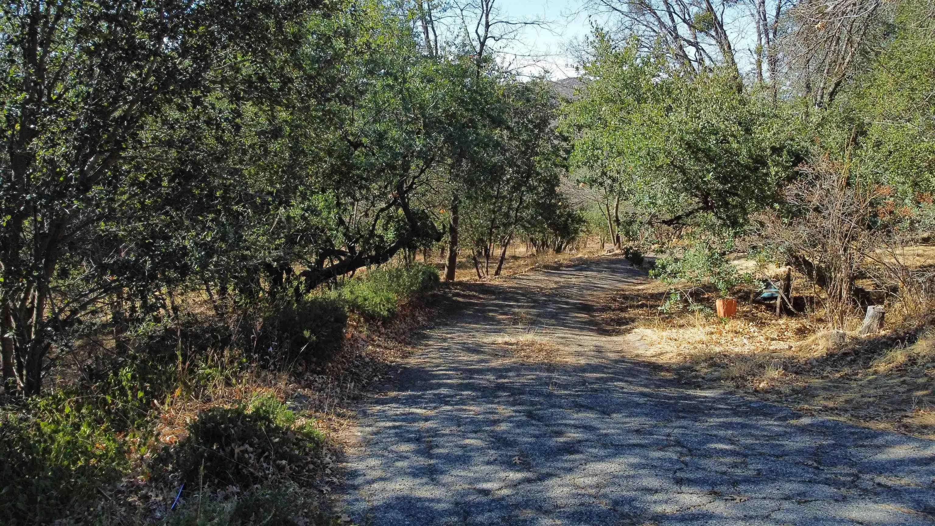 5298 Pine Hills Road, Unit 1 Julian, CA 92036 - Photo 2 of 21 a view of a yard with plants and trees