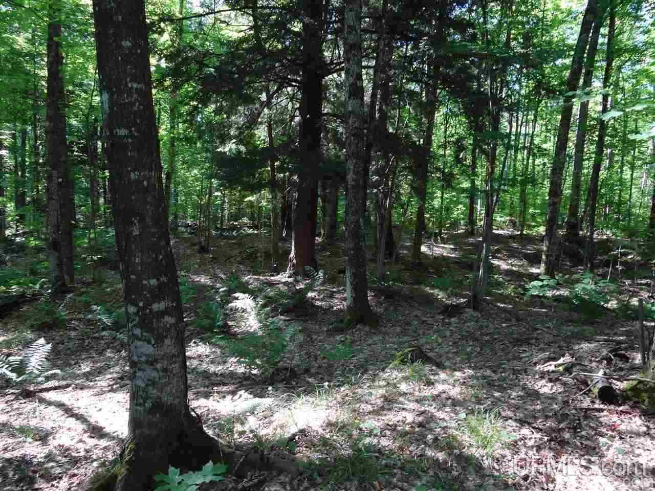 21660 Newberry Road Pelkie, MI 49958 - Photo 29 of 40