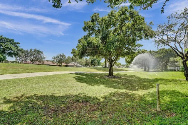 a view of a trees in a yard