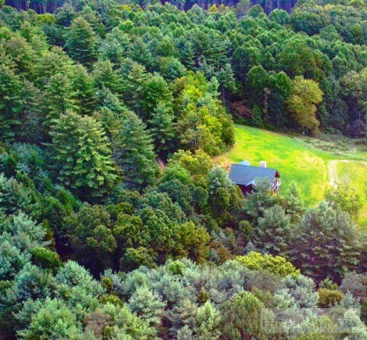 796 Ore Valley Road Laurel Springs, NC 28644 - Photo 21 of 28 Gallery Image 21