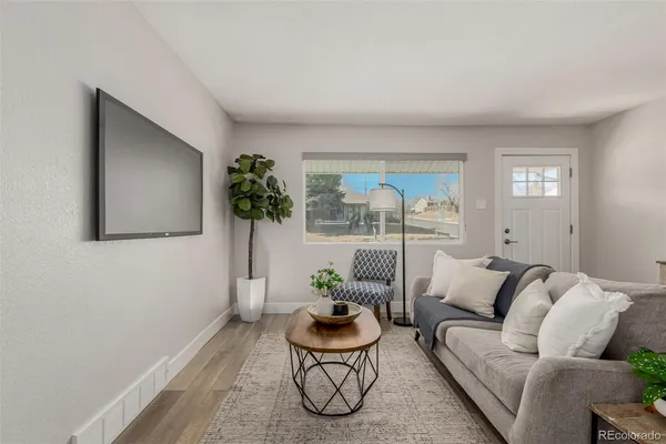 a living room with furniture and a potted plant