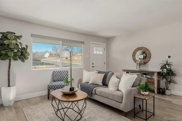 a living room with furniture and a potted plant