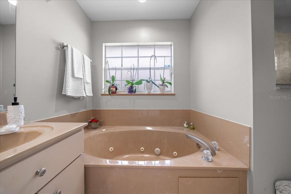 4997 Southwest 107th Loop Ocala, FL 34476 - Photo 24 of 48 a bathroom with a bathtub and a sink