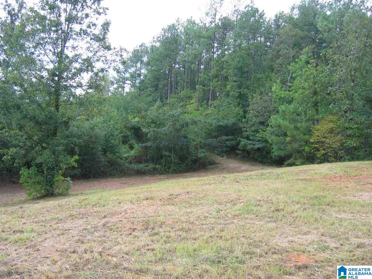 0 Indian Valley Road, Unit 1 Sylacauga, AL 35150 - Photo 2 of 5