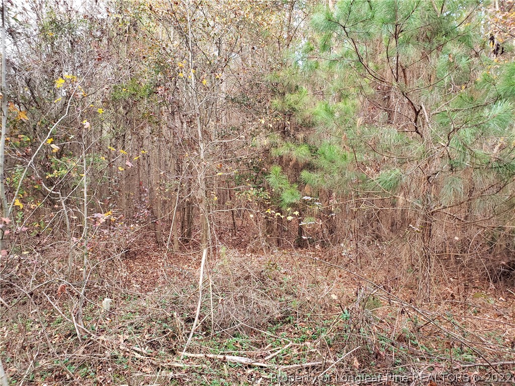 Lee Road Wade, NC 28395 - Photo 11 of 16 Gallery Image 11