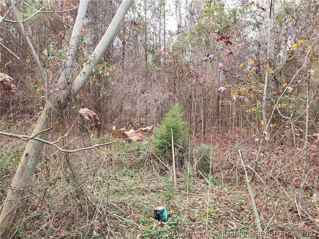 Lee Road Wade, NC 28395 - Photo 12 of 16 Gallery Image 12