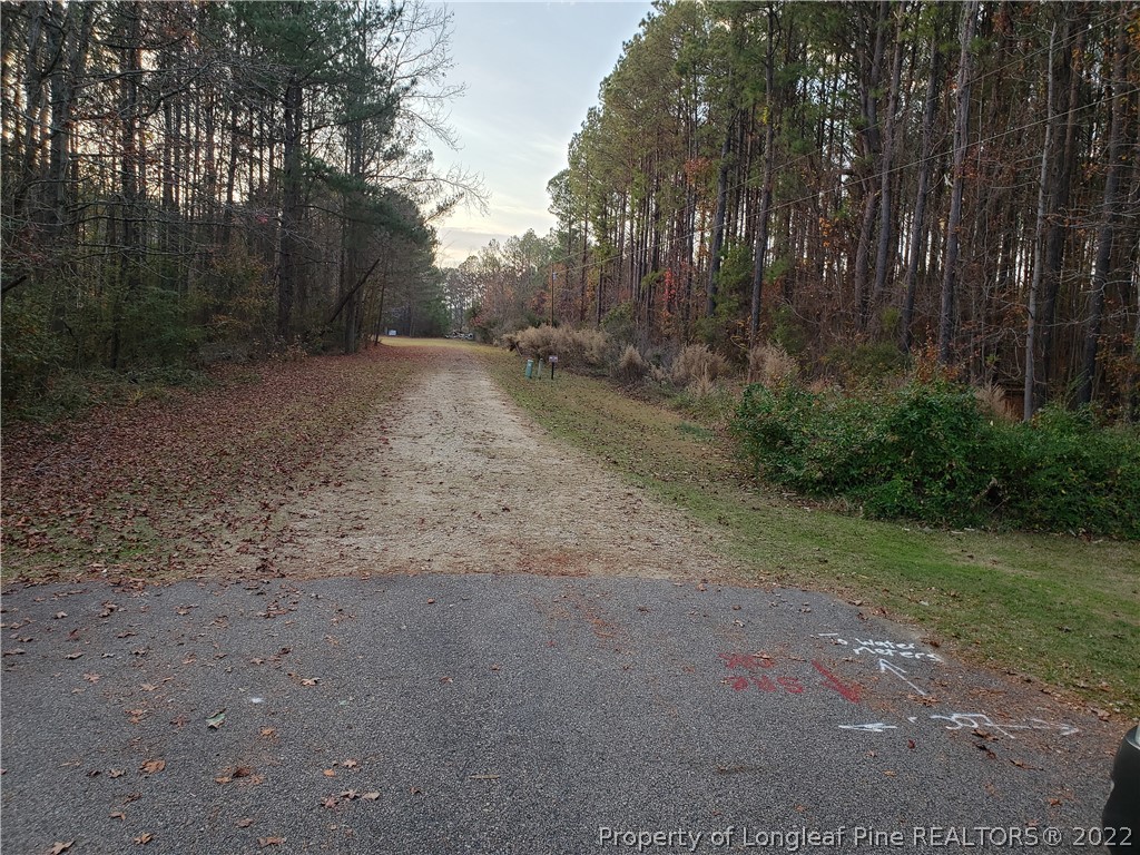 Lee Road Wade, NC 28395 - Photo 14 of 16 Gallery Image 14