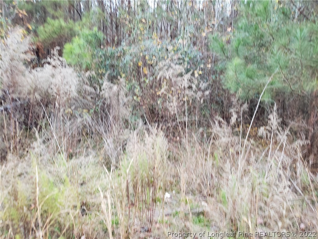 Lee Road Wade, NC 28395 - Photo 5 of 16 Gallery Image 5