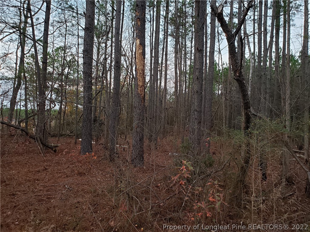 Lee Road Wade, NC 28395 - Photo 7 of 16 Gallery Image 7
