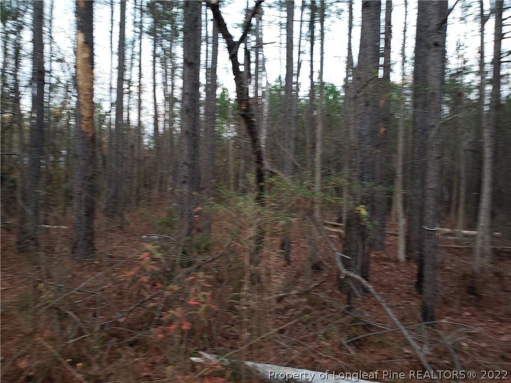 Lee Road Wade, NC 28395 - Photo 8 of 16 Gallery Image 8