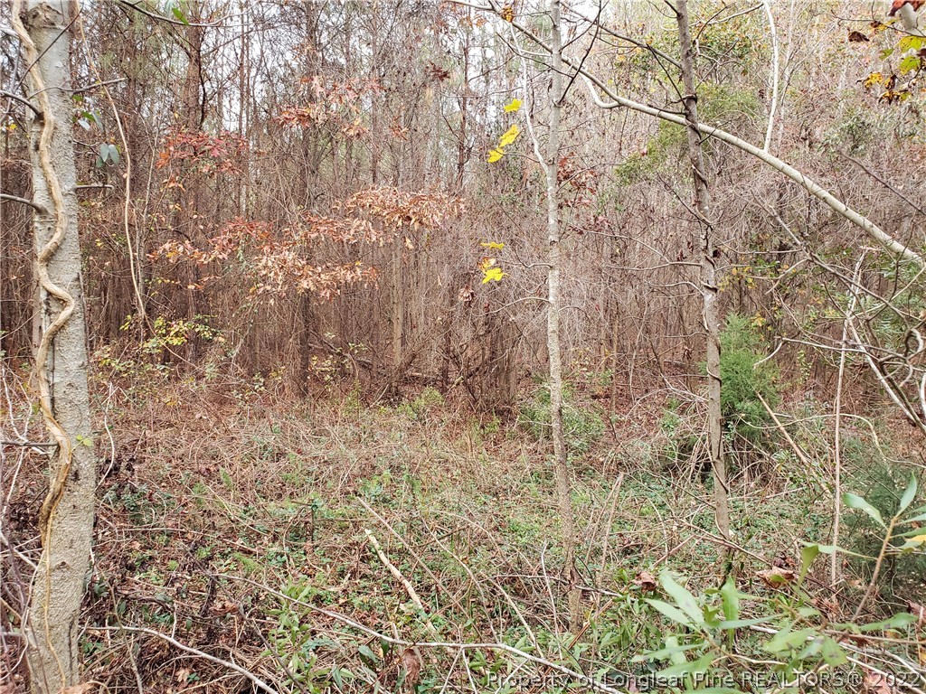 Lee Road Wade, NC 28395 - Photo 10 of 16 Gallery Image 10