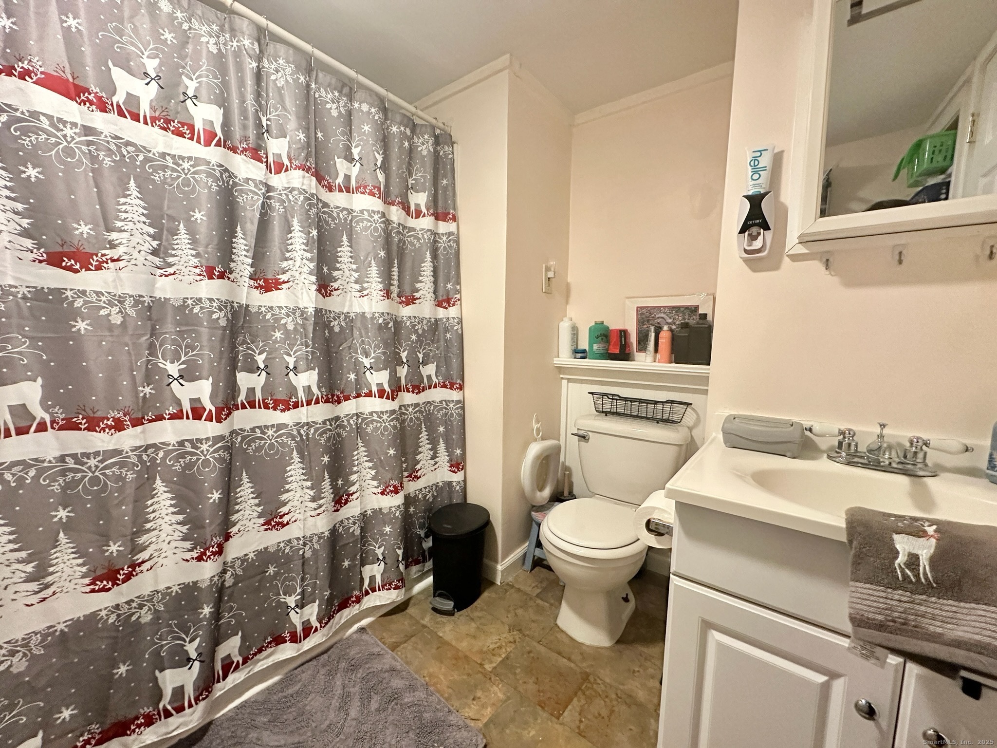 230 Main Street, Unit 63 Wallingford, CT 06492 - Photo 10 of 12 a bathroom with a sink a toilet and a shower curtain