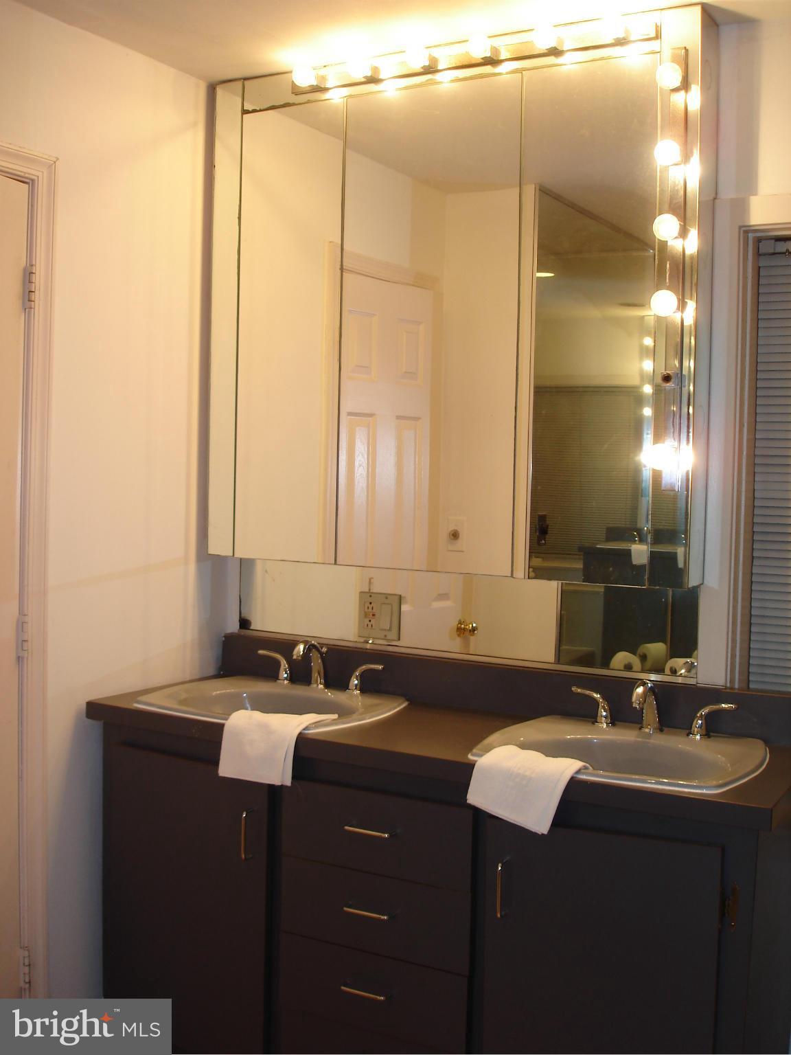 2826 Hill Road Vienna, VA 22181 - Photo 15 of 21 Bath