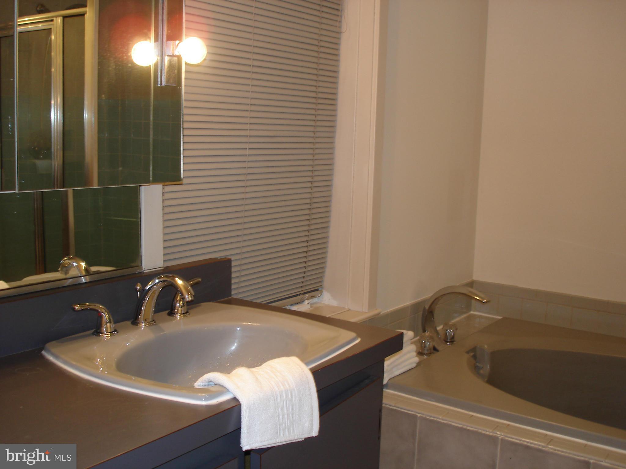 2826 Hill Road Vienna, VA 22181 - Photo 16 of 21 Bath
