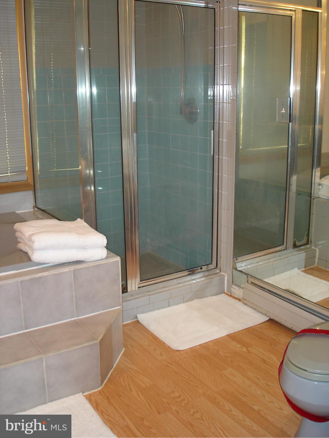 2826 Hill Road Vienna, VA 22181 - Photo 17 of 21 Bath
