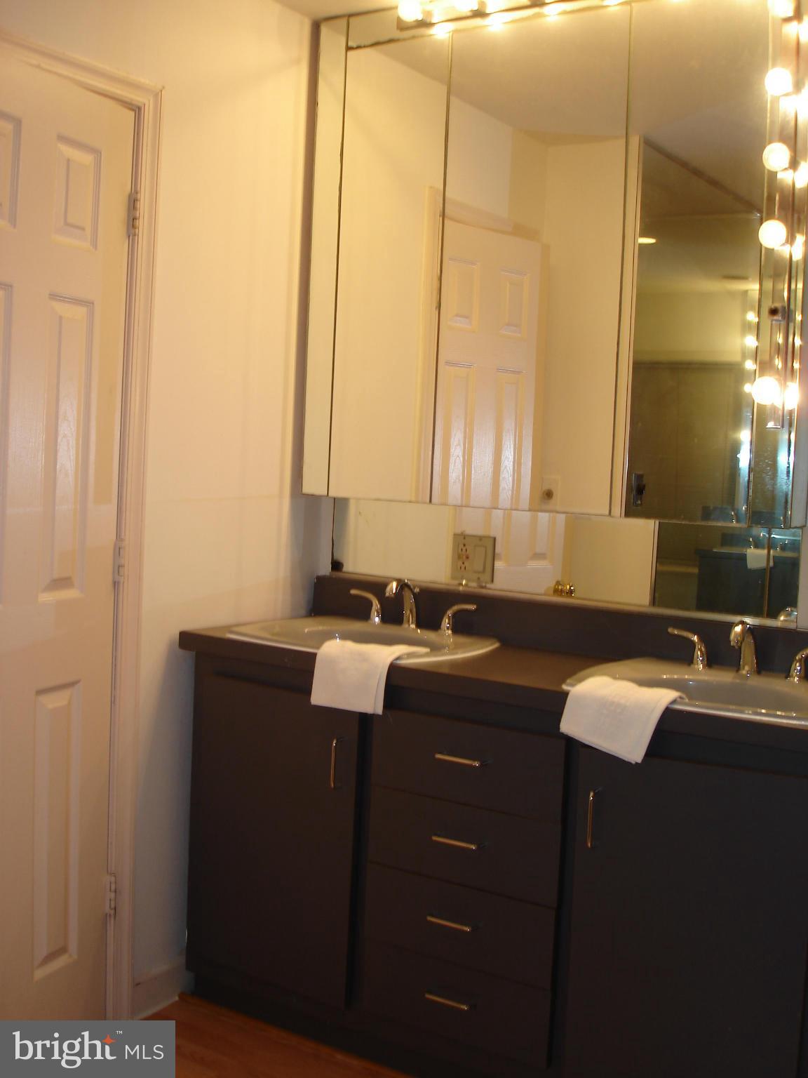 2826 Hill Road Vienna, VA 22181 - Photo 18 of 21 Bath