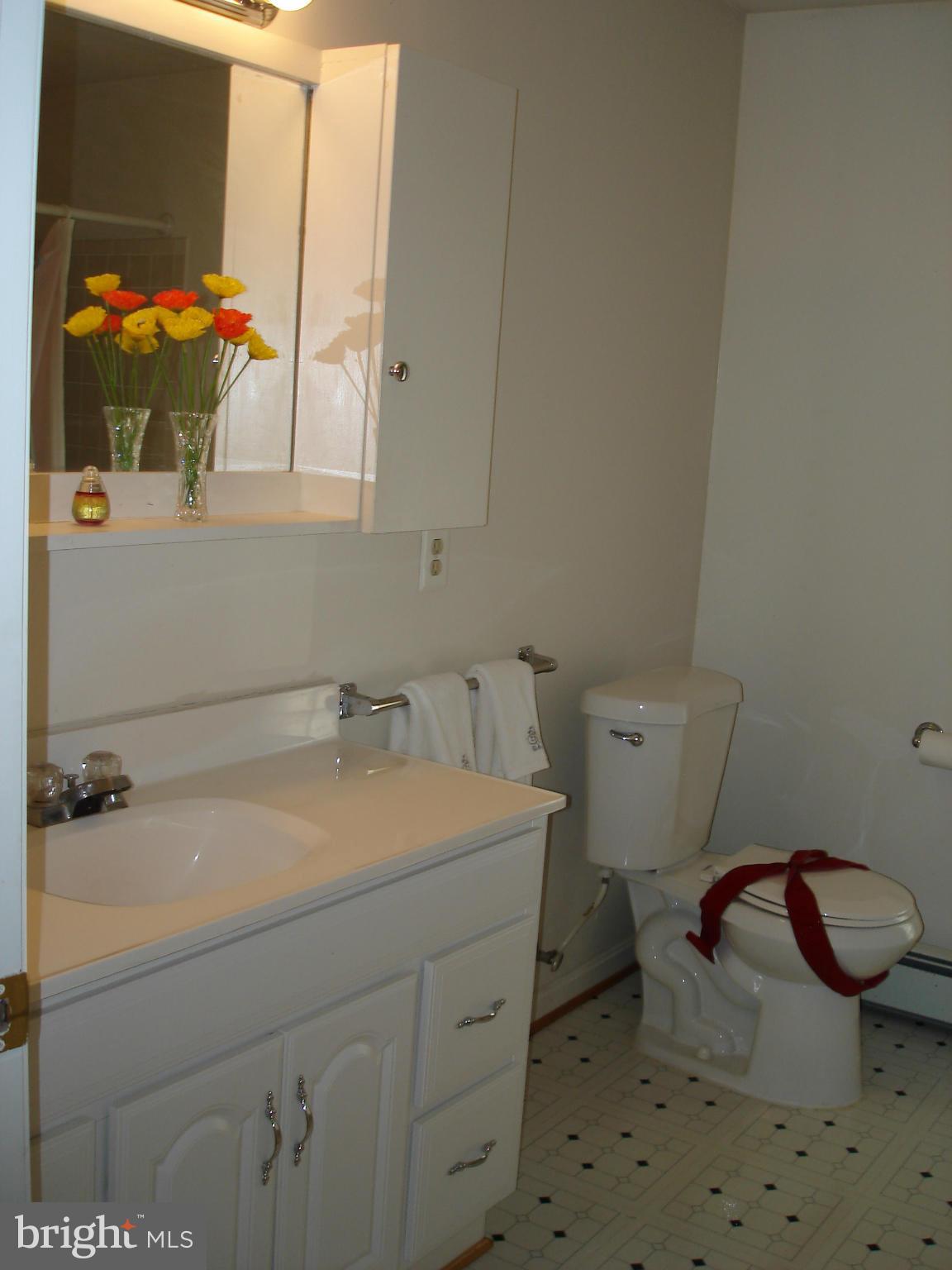 2826 Hill Road Vienna, VA 22181 - Photo 20 of 21 Bath