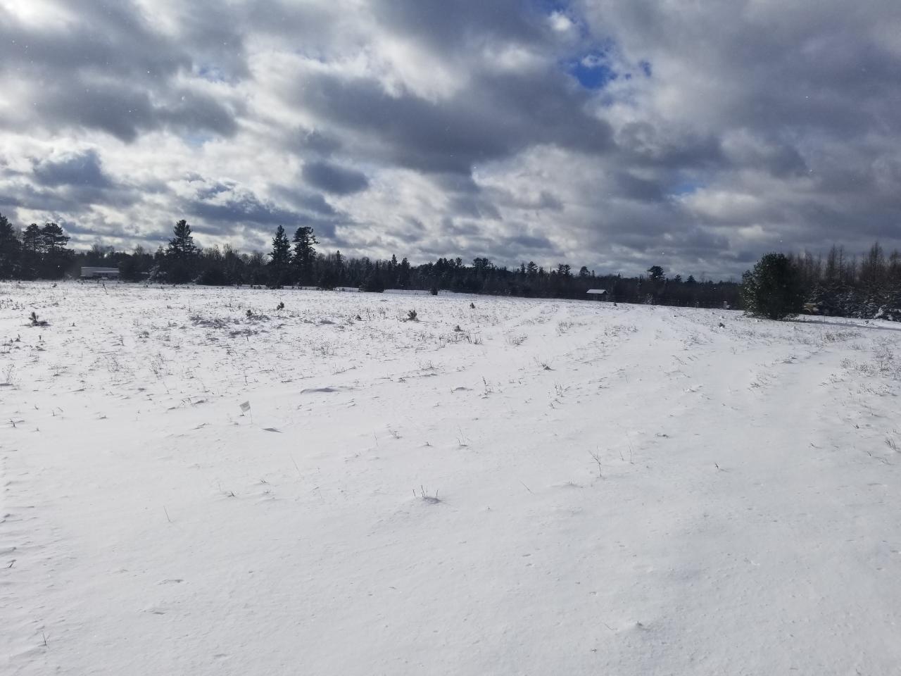 On Adams Road, Unit 53 ACRES Eagle River, WI 54521 - Photo 5 of 5 Gallery Image 5