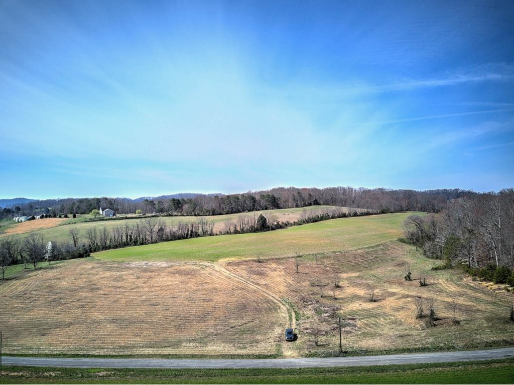 0 Chandler Road Limestone, TN 37681 - Photo 11 of 23 Photo 11