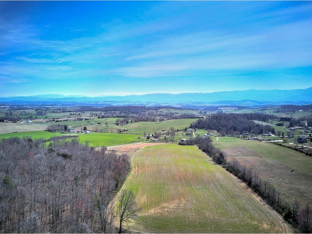 0 Chandler Road Limestone, TN 37681 - Photo 12 of 23 Photo 12