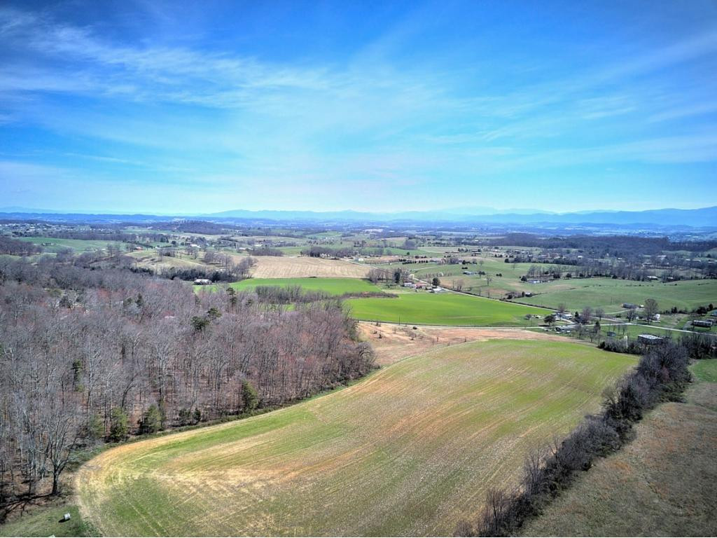 0 Chandler Road Limestone, TN 37681 - Photo 14 of 23 Photo 14