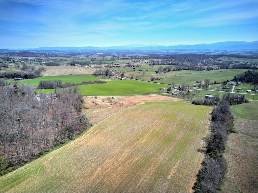 0 Chandler Road Limestone, TN 37681 - Photo 16 of 23 Photo 16