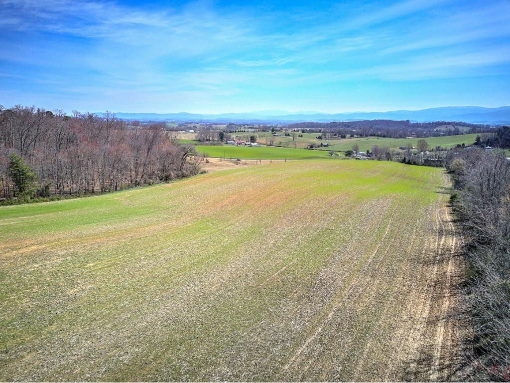 0 Chandler Road Limestone, TN 37681 - Photo 17 of 23 Photo 17