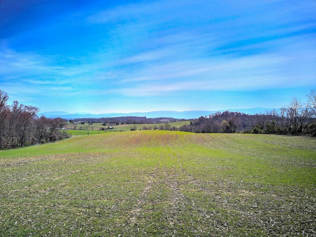 0 Chandler Road Limestone, TN 37681 - Photo 19 of 23 Photo 19