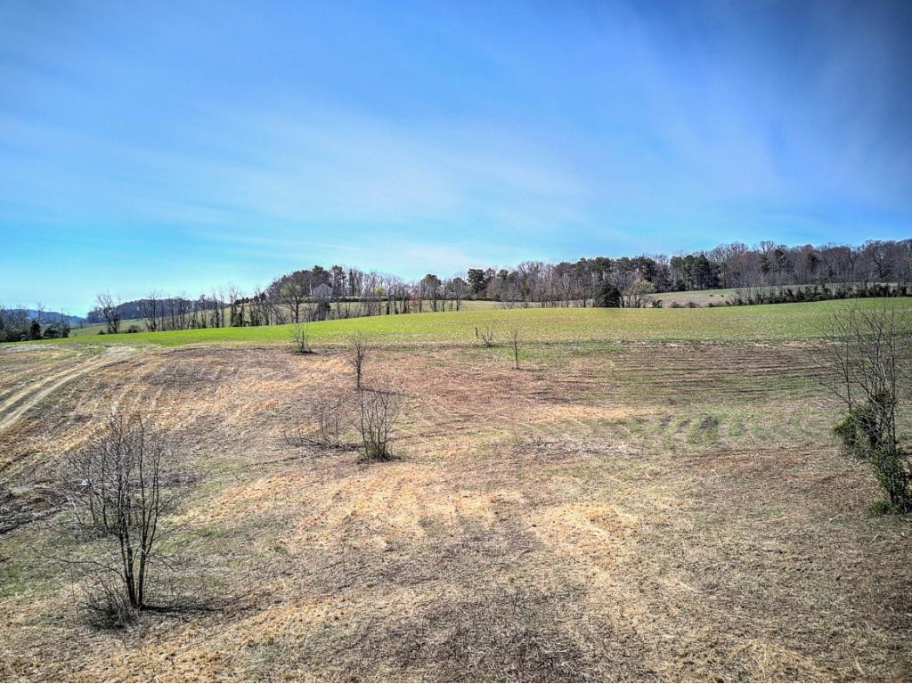 0 Chandler Road Limestone, TN 37681 - Photo 22 of 23 Photo 22