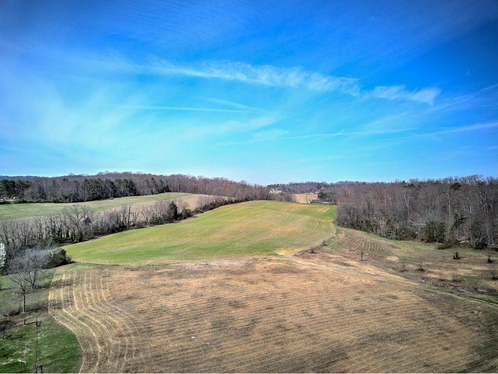 0 Chandler Road Limestone, TN 37681 - Photo 4 of 23 Photo 4