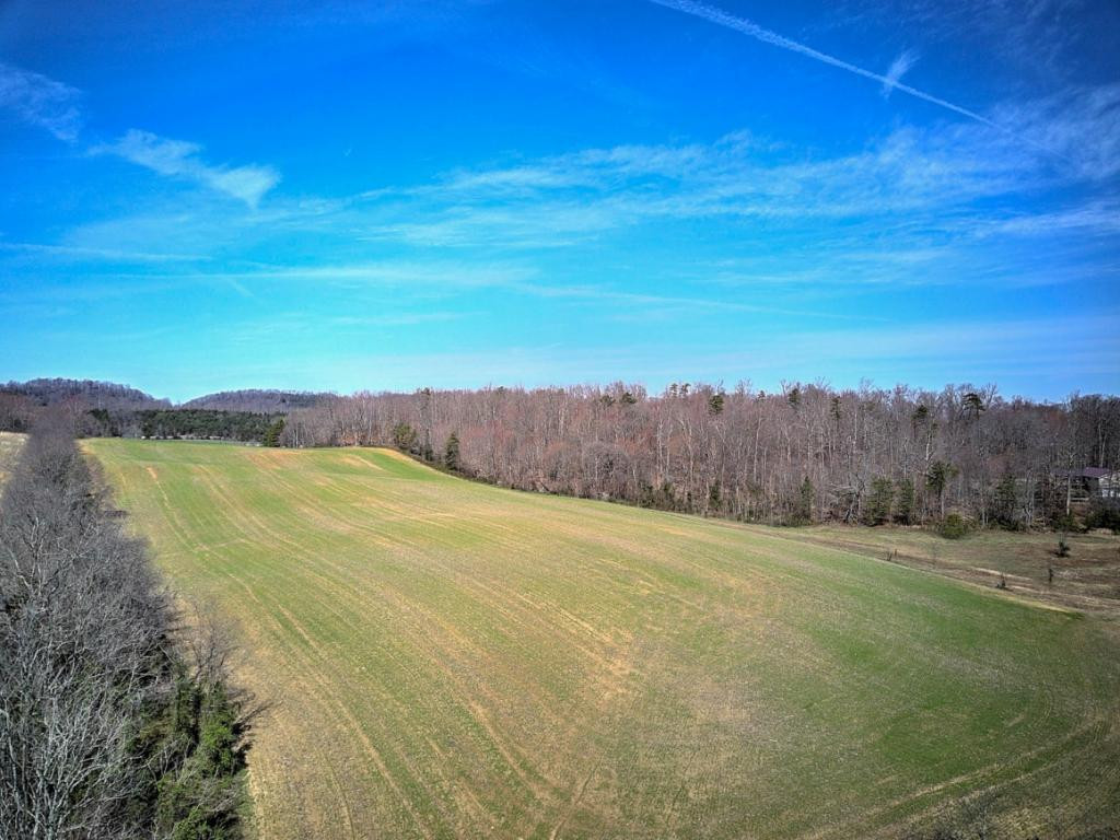 0 Chandler Road Limestone, TN 37681 - Photo 8 of 23 Photo 8