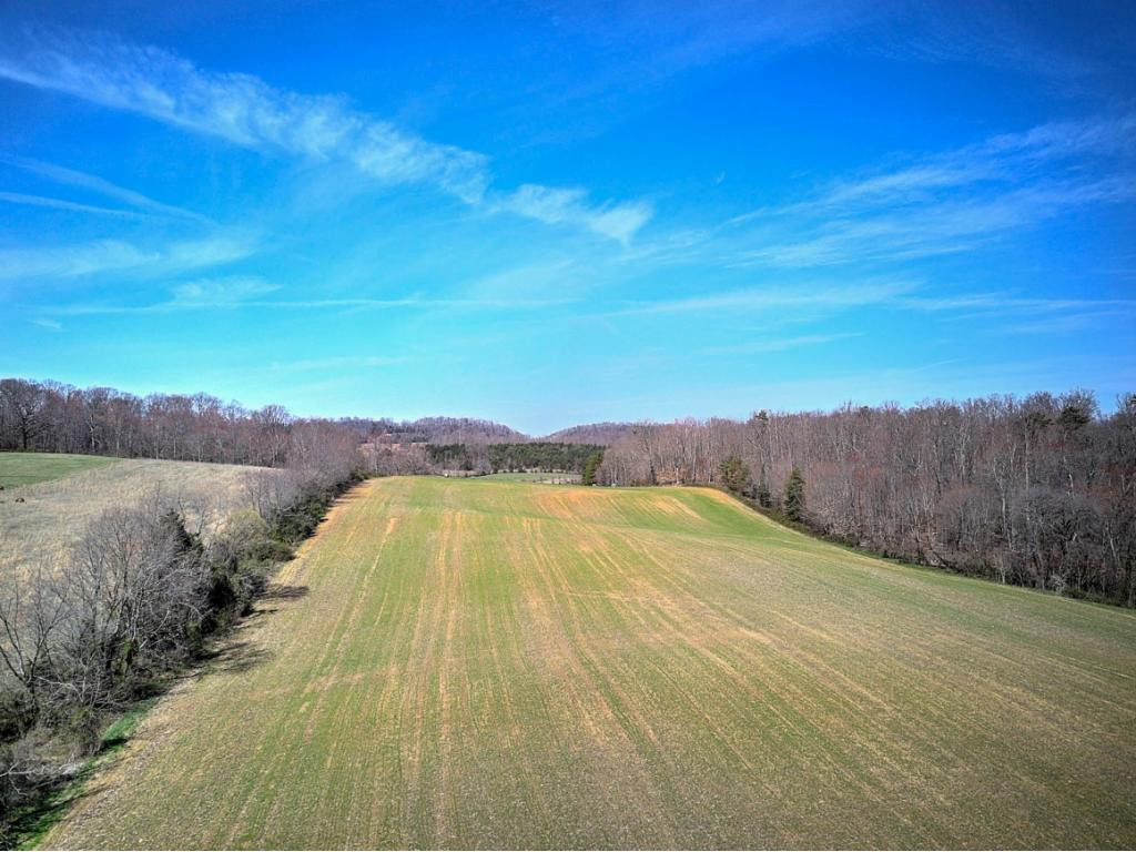 0 Chandler Road Limestone, TN 37681 - Photo 9 of 23 Photo 9