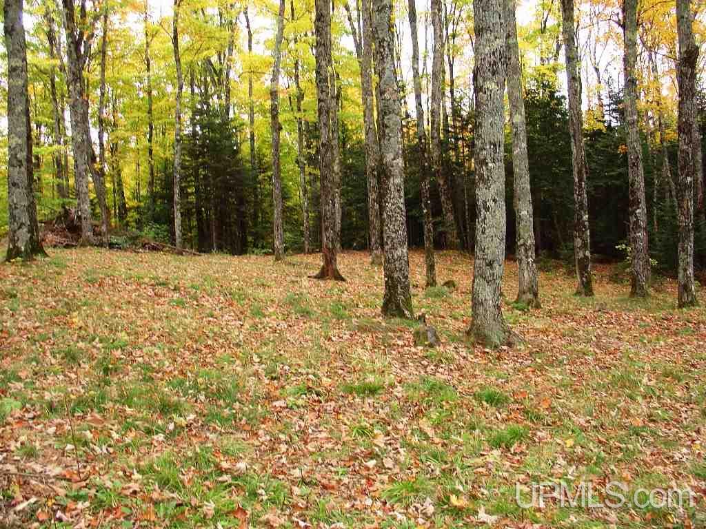 Off East Hawk Lake Road, Unit 3 Marenisco, MI 49947 - Photo 17 of 18