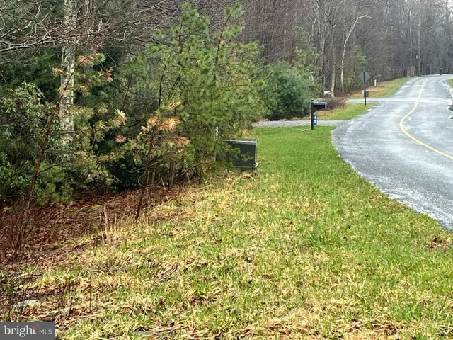 a view of a yard with plants