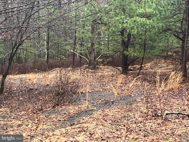 a view of a yard covered in snow
