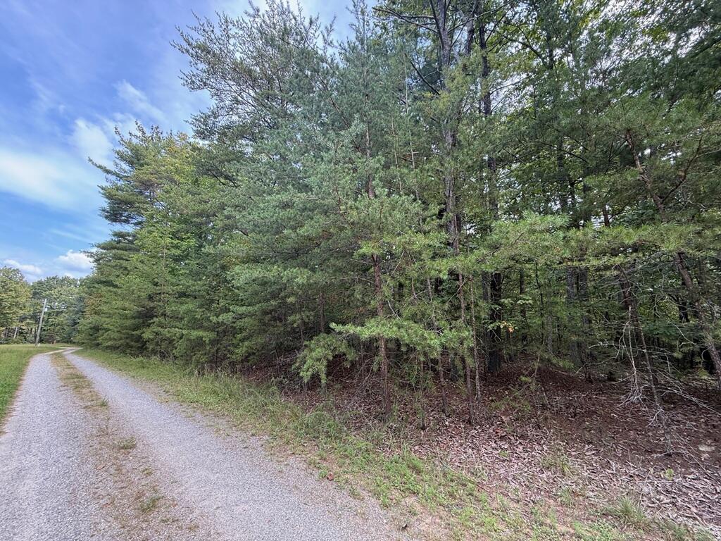 0 Marks Path Henry, VA 24102 - Photo 2 of 3 a view of a forest with trees in the background