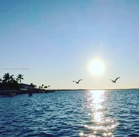 a view of a swimming pool with lawn chairs and plants