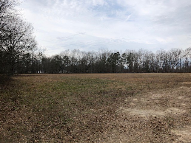 391 Old Lowe Road Spartanburg, SC 29303 - Photo 1 of 5 Beautiful level 4.9 acres.