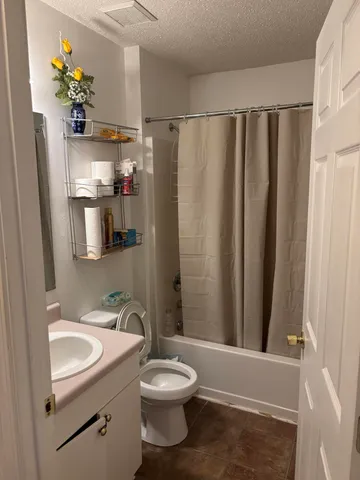 a bathroom with a sink a toilet and shower curtain