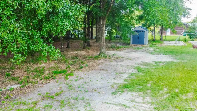 a small garden covered with tall trees