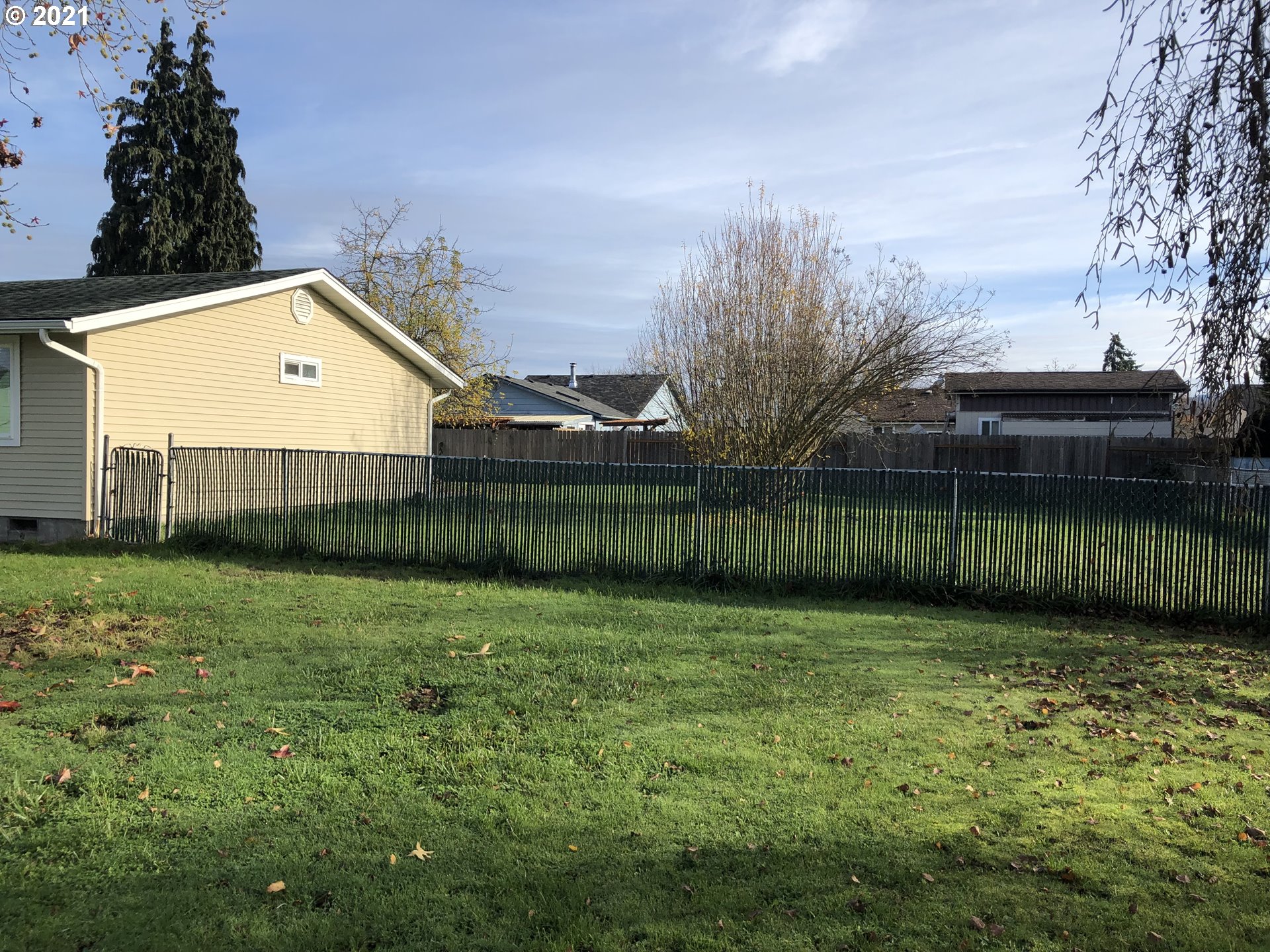 415 38th Street Springfield, OR 97478 - Photo 15 of 17 a view of a yard with a large trees