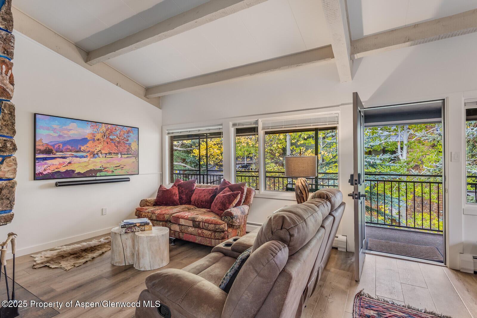 731 South Mill Street, Unit 3A Aspen, CO 81611 - Photo 12 of 49 11_731_Mill_Street_3A011_mls