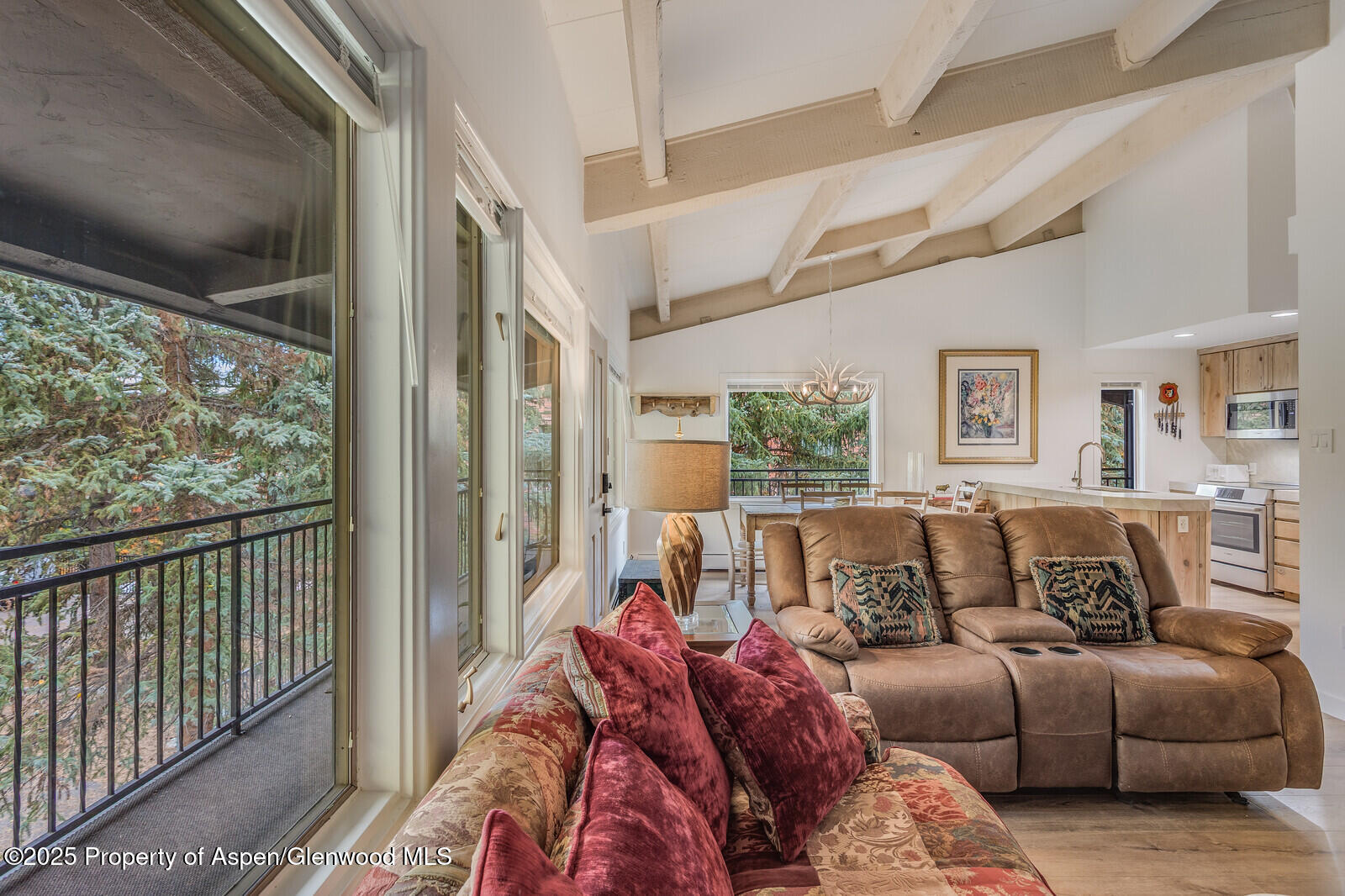 731 South Mill Street, Unit 3A Aspen, CO 81611 - Photo 14 of 49 12_731_Mill_Street_3A012_mls