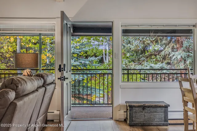 $20,000 | 731 South Mill Street, Unit 3A, Aspen, CO 81611